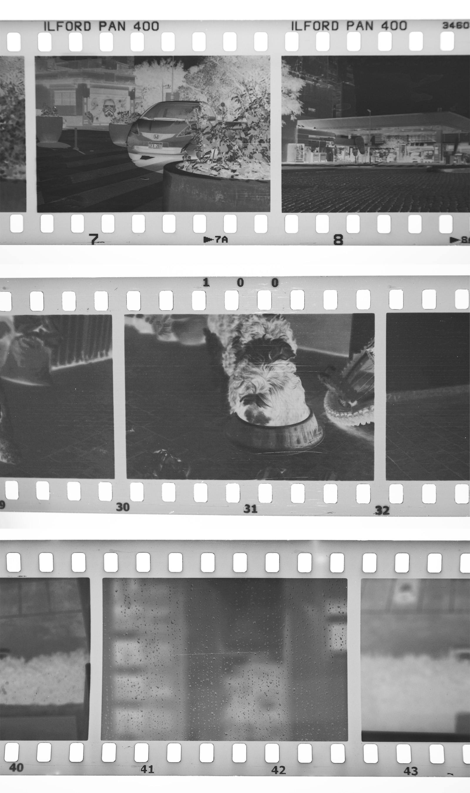 Blog: Stand development