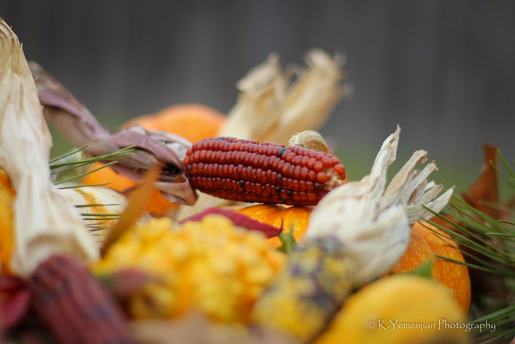 37719110624_92bd90e351_b