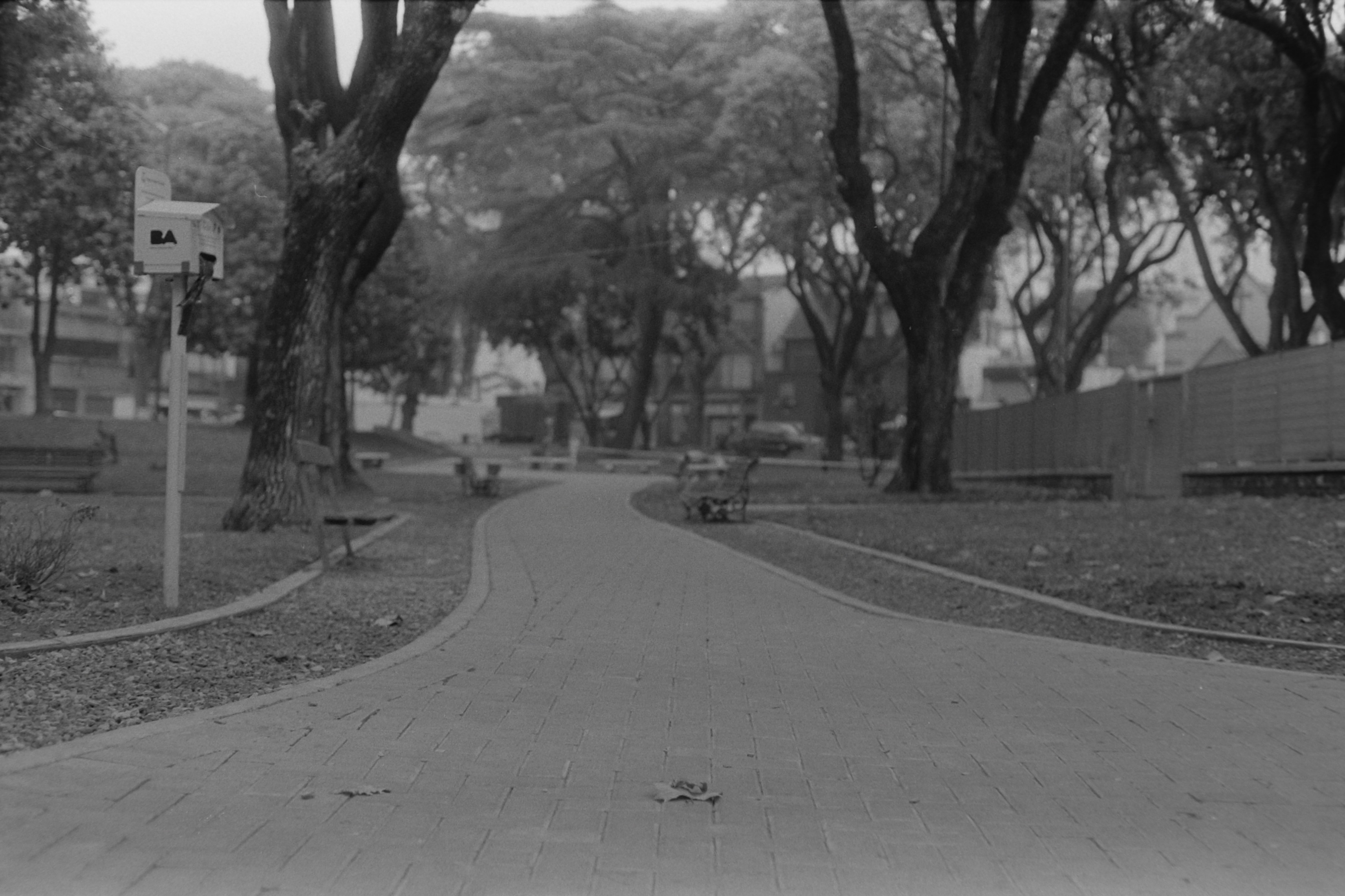 Analógicas: La hoja